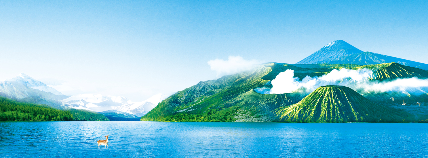 1685085036160998.jpg 01b.jpg